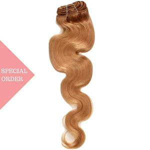 #27 Honey Blonde Clip-In Extensions