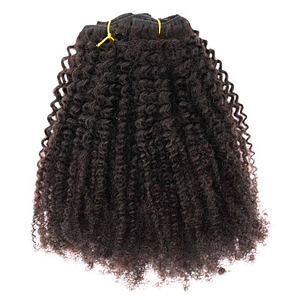 Afro Kinky Coily Natural Clip-In Extensions